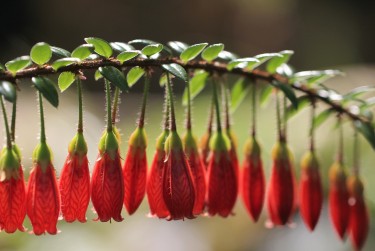 佛山禅城区5私人快速借钱网，轻松解决资金难题