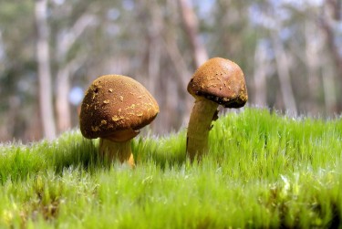 佛山禅城区5私人老板放款：轻松融资的秘密通道